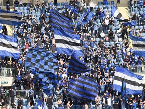 (ברני ארדוב)