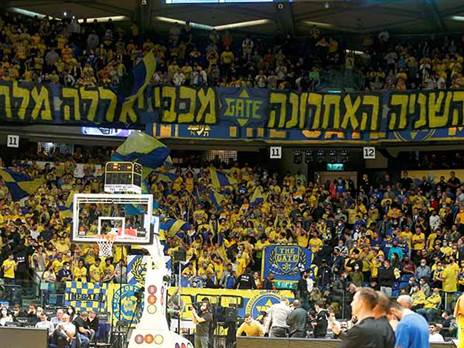 הקהל הצהוב. בנה לעצמו שם ברחבי אירופה (אלן שיבר)