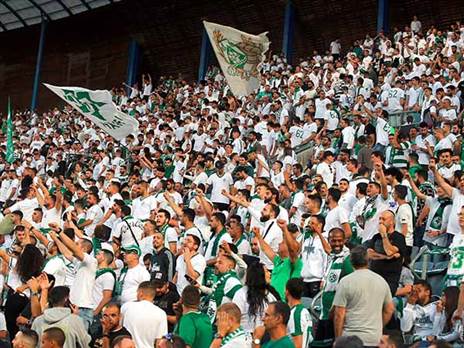 אירופה מחכה (אלן שיבר)