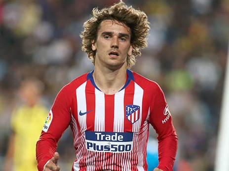 כבש ועזב. גריזמן (אלן שיבר)