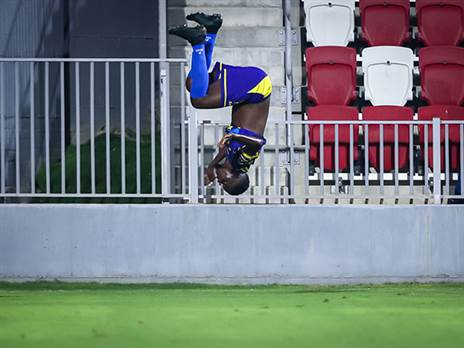 מאור אלקסלסי