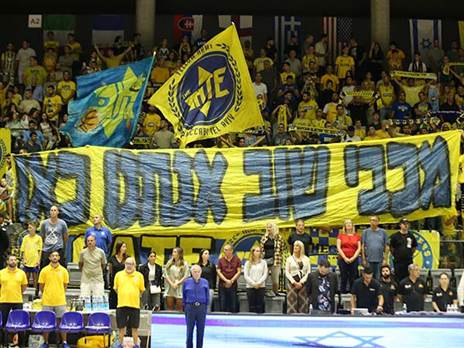 האוהדים הצהובים (אודי ציטיאט)