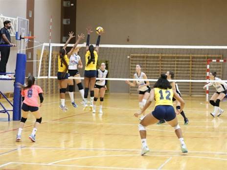 קרדיט: איגוד הכדורעף