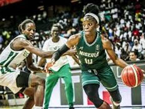 השחקנית החדשה של הרצליה. פרומיס אמוקמרה (FIBA)