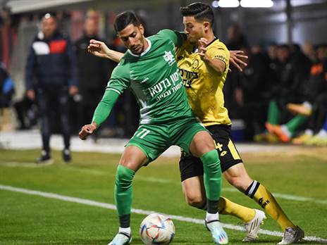 (ברני ארדוב)