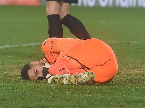 "הנשק שלנו". ניצן (ברני ארדוב)