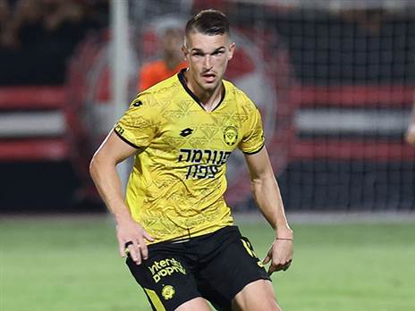 זלאטנוביץ'. הבא בתור (ברני ארדוב)