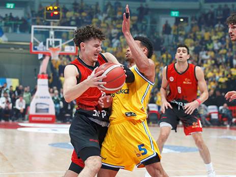 קרב גדול היה בארינה (אלן שיבר)