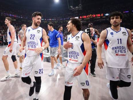 מיצ'יץ' ולארקין. בהצלחה (Getty)