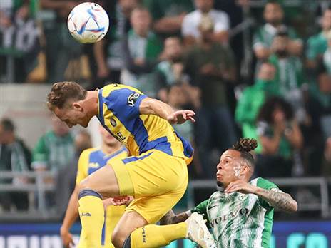 ניצחון חשוב (אלן שיבר)