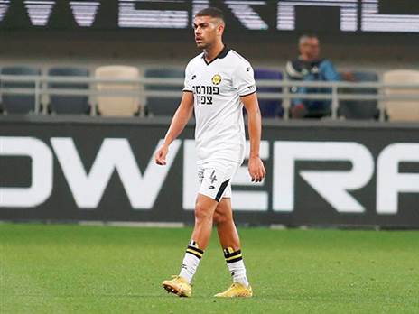 בסכנת צהובים (אלן שיבר)