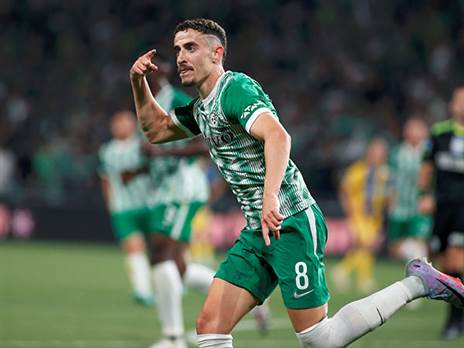 חזיזה. ציון 9 (אלן שיבר)