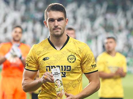 זלטאנוביץ'. בדרך החוצה (אלן שיבר)