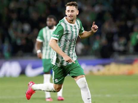 "פגיעה דרמטית בחיפה" (אלן שיבר)