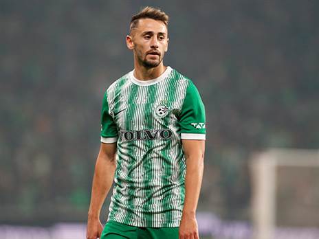 נעליים גדולות למלא (אלן שיבר)