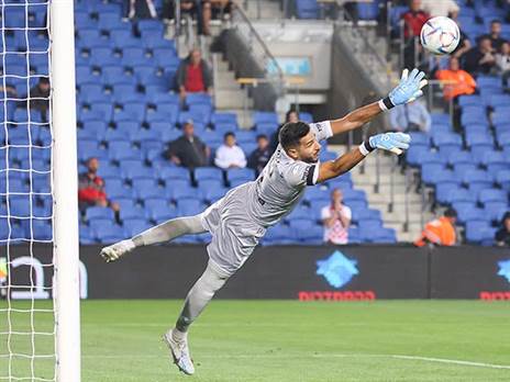 מצטרף לאלופה (ברני ארדוב)