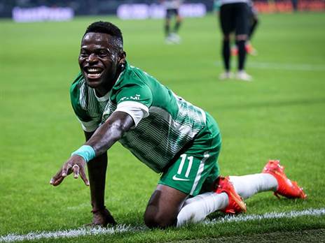 מאוויס צ'יבוטה. יגיע לבירה? (מאור אלקסלסי)