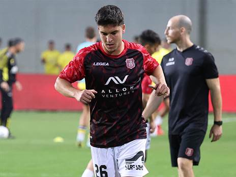 ימשיך לעוד עונה בטדי. נדב נידם (צילום: דני מרון)