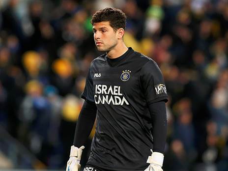 אין התקדמות. טננבאום (אלן שיבר)