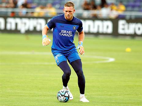 על הדשא בבלומפילד (אלן שיבר)