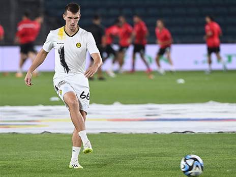 זלאטנוביץ'. נותר בחוץ (ברני ארדוב)