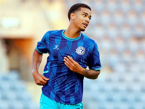 טוקלומטי. נשאר (אלן שיבר)