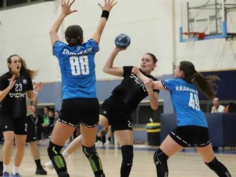 הארזים מול הרצליה (איגוד הכדוריד)