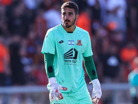 (מאור אלקסלסי)