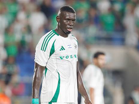 סק. מחזיר על האהבה (אלן שיבר)