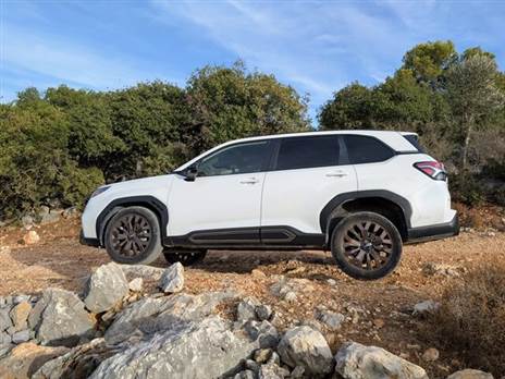 ליטוש מדור לדור