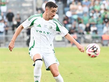 החלים מפציעה. חזיזה (ברני ארדוב)