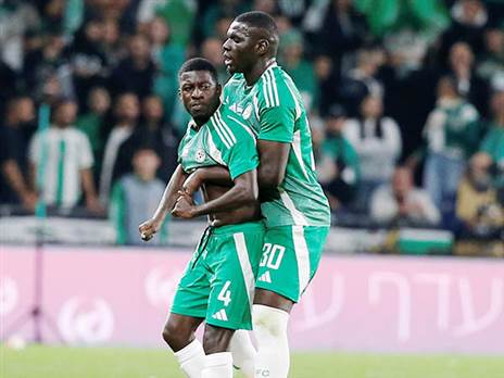 איבוד עשתונות (אלן שיבר)