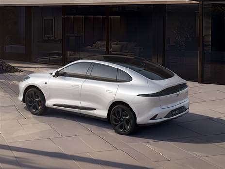 זנב שמזכיר את אסטון מרטין DBX