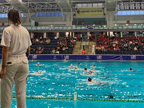 (איגוד הכדורמים)