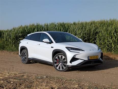 צילום: רן סגל