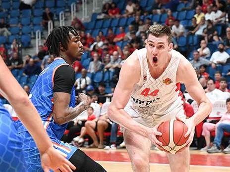 (ברני ארדוב)