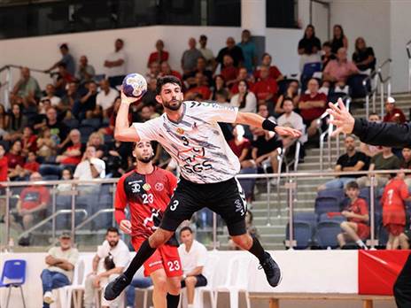 (הדר ואן קולא, איגוד הכדוריד)