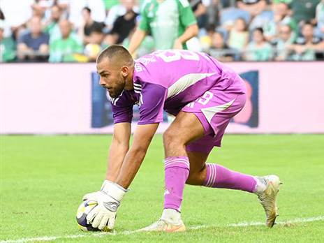 (ברני ארדוב)