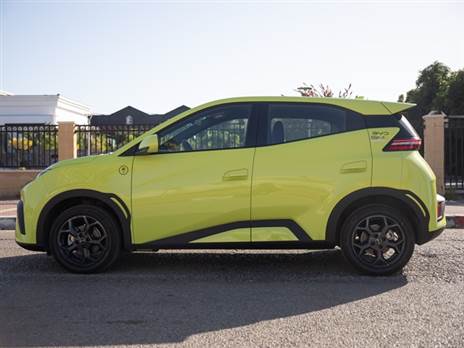 בולטת בצבע הצהוב הזרחני