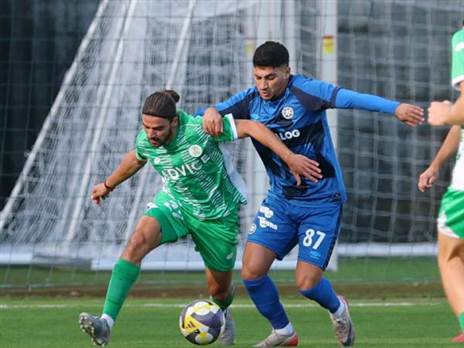 (אודי ציטיאט)