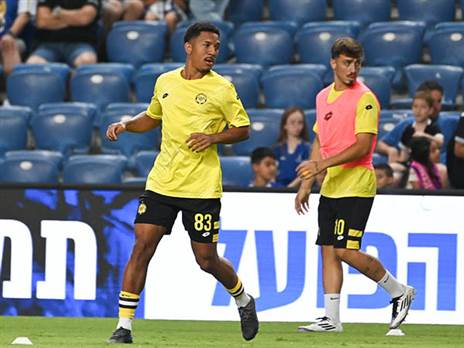 (ברני ארדוב)