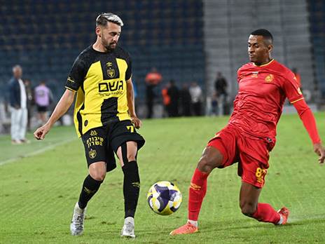 (ברני ארדוב)