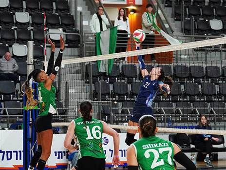 (צילום: דניאל פנסיוק)