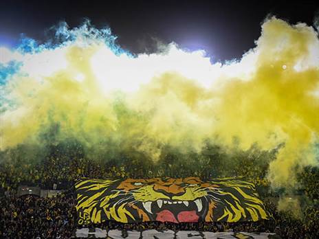 (ברני ארדוב)