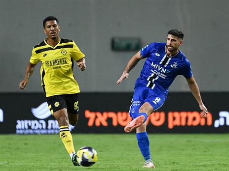 (ברני ארדוב)