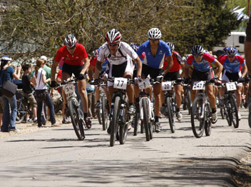 טור אילת הופך למסורת?