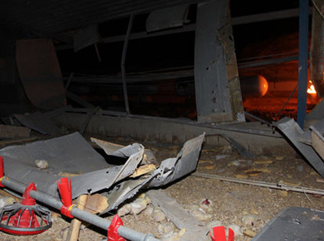 שוב הסלמה בדרום (התמונה באדיבות וואלה!)