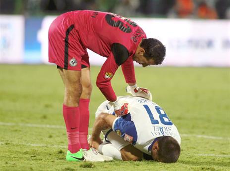 מקצוען אמיתי. זה יספיק (אלן שיבר)