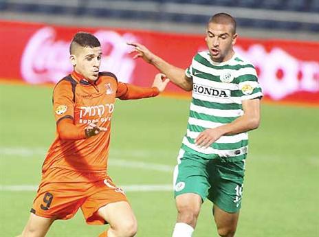 שוב לא כבש....