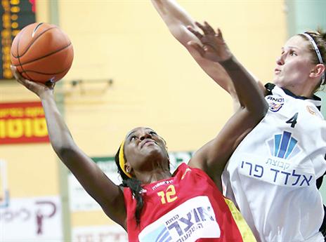 עוד הזדמנות לתואר (אלן שיבר)